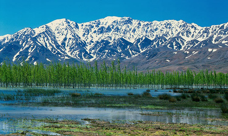 چهارمحال و بختیاری
